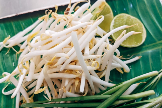 Taugé